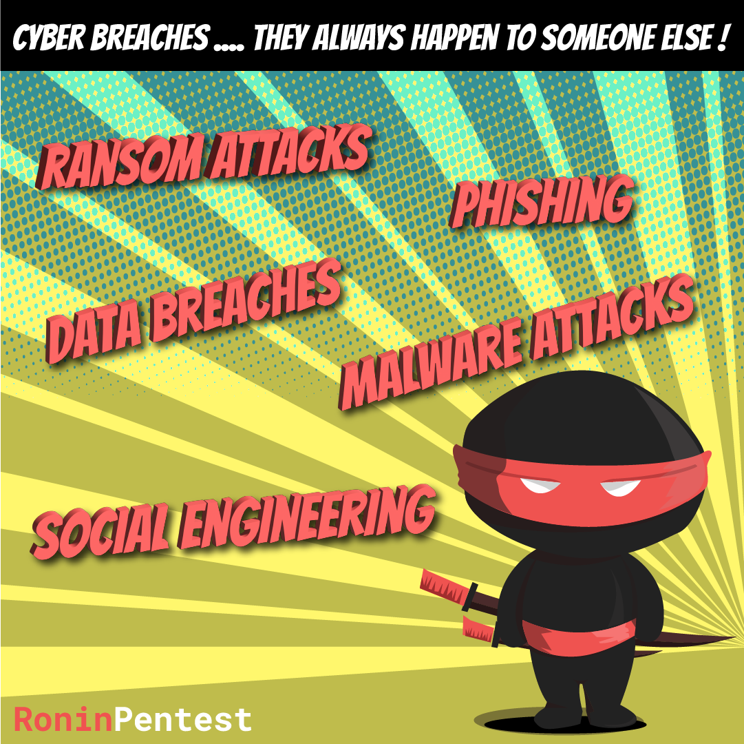 Ronin-Pentest – common cyber security breaches